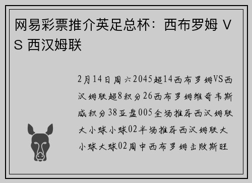 网易彩票推介英足总杯：西布罗姆 VS 西汉姆联